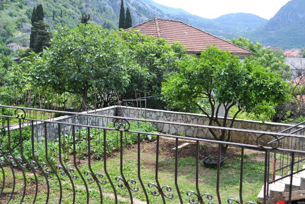 Apartments Villa Marta - Begovic Kotor Exteriör bild