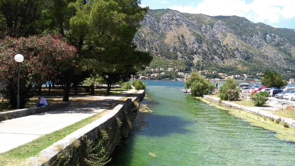 Apartments Villa Marta - Begovic Kotor Exteriör bild